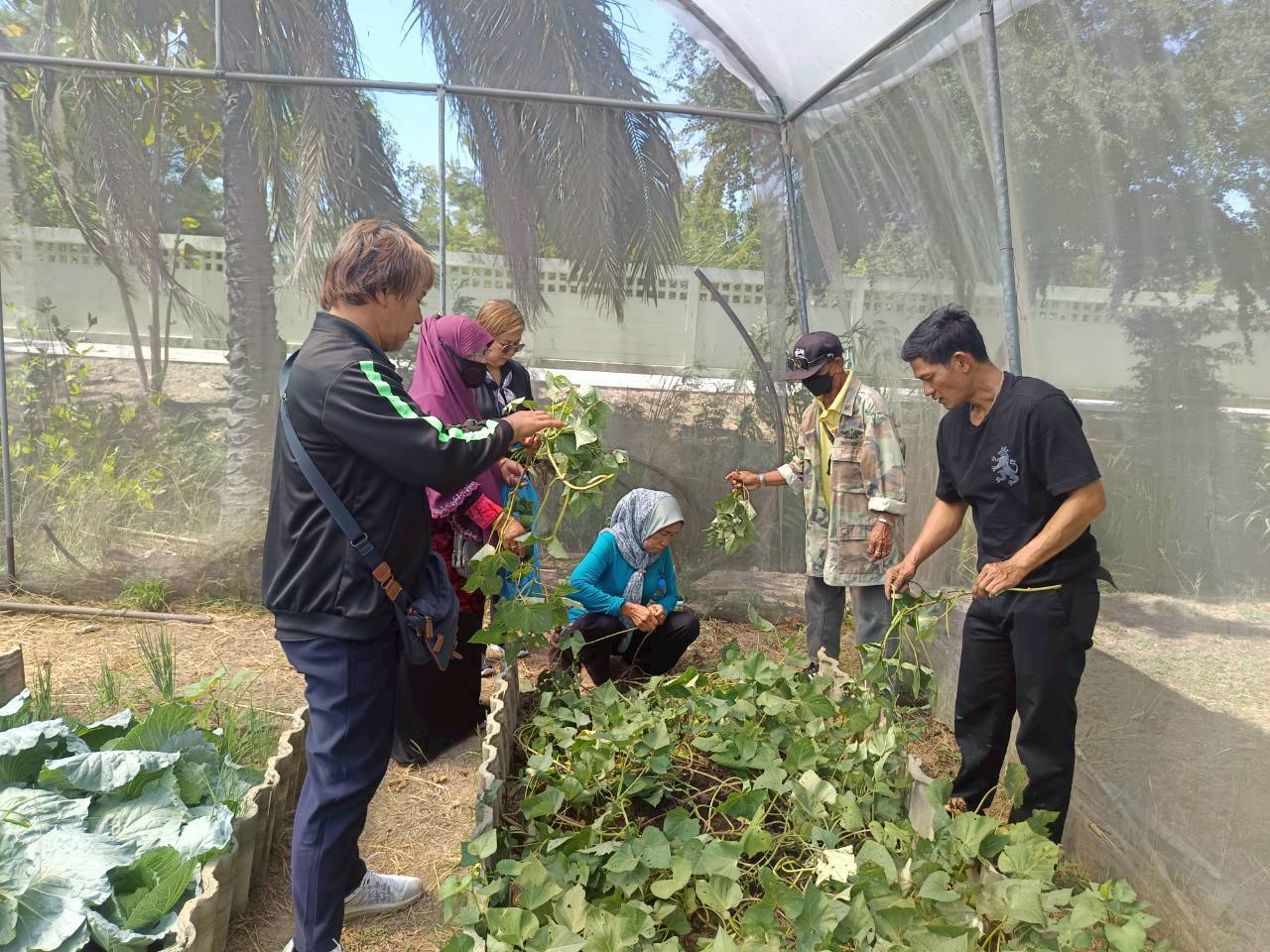 title - ศกร. ร่วมกับ ส.ป.ก.อยุธยา ติวเข้มเกษตรกร ชูโมเดล “โรงอบเคลื่อนที่ - ผัก 3 โลก - มันญี่ปุ่น” เพิ่มทางเลือกสร้างรายได้ในเขตปฏิรูปที่ดิน